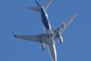 Morten 12 september 2023 - SE-RJX over Høyenhall, det er SAS Scandinavian Airlines som kommer med sin Boeing 737-76N fra 2007 og heter Vagn Viking. Første gangen jeg tok bilde av denne var 16 juli 2021 og har sitert den flere ganger