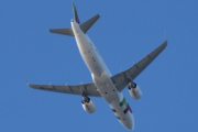 Morten 17 september 2023 - CS-TVB over Høyenhall, det er TAP - Air Portugal som kommer med sin Airbus A320-251N fra 2019 og heter Agustina Bessa-Luís. Den har jeg ikke tatt bilde av før, så vi må sitere. Agustina Bessa-Luís, GOSE var en portugisisk forfatter. Fra 1986 og 1987 var hun direktør for den daglige O Primeiro de Janeiro. Fra 1990 til 1993 var hun direktør for D. Maria II National Theatre