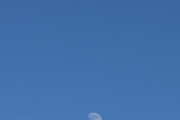 Morten 30 mai 2023 - Stort fly og månen over Høyenhall, dem ligger for høyt, eller så er det månen som er for lavt...