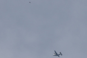 Morten 12 juni 2023 - Stort fly over Høyenhall, kan det være en Grumman C-2 Greyhound vi tar bilde av med en fugl?