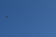 Morten 23 juni 2023 - OO-SSA over Høyenhall, det er Brussels Airlines som passerer månen på Sankthansaften