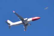 Morten 1 april 2024 - LN-NIH over Høyenhall, jeg tror det er Norwegian Air Shuttle AOC som kommer med sin Boeing 737-8JP fra 2014. Jeg fulgte fuglen til den var ved flyet, jeg har bare solen to ganger med dette flyet, men nå også en fugl. Så jeg tok bilde av den 2 april 2022 og 8 april 2022