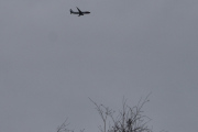 Morten 1 april 2024 - SE-RPH over Høyenhall