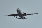 Morten 12 april 2024 - Stort fly over E6 ved Hurdal et sted, klokken er 08.23 og nå kommer dem på løpende bånd. Jeg tror dette er SAS