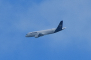 Morten 31 august 2024 - Lufthansa over Høyenhall