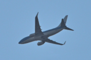 Morten 1 august 2024 - KLM Royal Dutch Airlines over Høyenhall