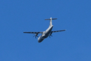 Morten 12 august 2024 - Propellfly over Høyenhall