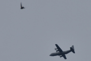 Morten 8 august 2024 - Super Hercules over Høyenhall