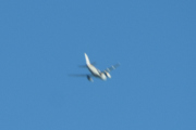 Morten 17 februar 2024 - Stort fly over Manglerud