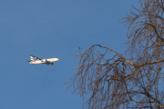 Morten 10 januar 2024 - A6-EFI over Høyenhall, det er Emirates SkyCargo som kommer med sin Boeing 777-F1H fra 2012. Du kan se en liten fugl i treet der, rett foran flyet