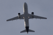Morten 11 januar 2024 - Lufthansa over Høyenhall, det er vel bare dem som ikke har registreringsnummer under vingen?