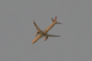 Morten 12 januar 2024 - Swiss International Air Lines over Høyenhall