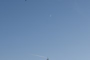 Morten 15 januar 2024 - Månen og jetflyet over Høyenhall, det var ikke en fugl i treet, men det var en fugl i luften