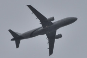 Morten 17 juli 2024 - Amelia International over Høyenhall, klokken er 15.58 og den lander på Gardermoen om 10 minutter. Det er ikke lett å ta bilder av store fly om dagen