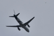 Morten 3 juli 2024 - Amelia International over Høyenhall, det som forvirrer meg er at dem har to forskjellige farger på flyene sine. Dette kan være F-HDRE eller F-HBNA. Dere ser fuglen?