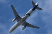 Morten 10 juni 2024 - F-HBNA over Høyenhall, det er Amelia International som kommer med sin Airbus A320-214 fra 2010. Den hadde jeg ikke bilde av og jeg ser jo at flyene har en historie