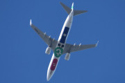 Morten 20 juni 2024 - F-GZHI over Høyenhall, det er Transavia France som kommer med sin Boeing 737-86J fra 2013. Den har jeg ikke dokumentert før, men det betyr ikke at jeg har et bilde. Av Transavia France har jeg disse nå.  F-GNEO, F-GZHI, F-HTVO, F-HTVP, F-HTVQ, F-HUYV og F-HXSA