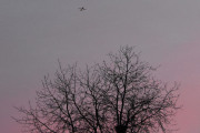 Morten 31 mars 2024 - Stort fly over Høyenhall på kvelden