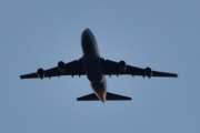 Morten 23 november 2024 - 4X-ICA over Høyenhall, dem kommer med sin Boeing 747-4EVERF fra 2007. Den så jeg 27 november 2021, og har 34 bilder av den nå