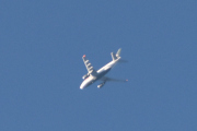 Morten 28 november 2024 - Stort fly over Drøbak, klokken er 10.00. Jeg har vel ikke tatt bilde av et stort fly over Drøbak før i november, men så var det denne halen da...