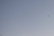 Morten 7 november 2024 - easyJet og politihelikopteret møtes over Høyenhall, så kommer også Airlift, og jeg venter