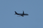 Morten 23 oktober 2024 - Lufthansa over Høyenhall