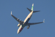 Morten 5 september 2024 - F-HUYV over Høyenhall, det er Transavia France som kommer med sin Boeing 737-8K5 fra 2011. Den har jeg ett bilde av, det er fra 23 juni 2023