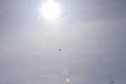 Morten 3 mai 2024 - SAS over Høyenhall igjen, her for vi med solen og fuglen