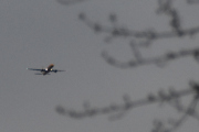 Morten 11 april 2025 - DHL Aviation over Høyenhall