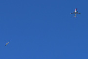 Morten 11 april 2025 - LN-NOD over Høyenhall, det er Norwegian Air Shuttle AOC som kommer med sin Boeing 737-8Q8 fra 2008 og som het Sonja Henie. Her fikk vi med fuglen også