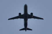 Morten 24 april 2025 - SE-ROL over Høyenhall, klokken er 20.24 og blir det siste flyet i kveld. Jeg er ikke sikker, men jeg tror det er SAS Scandinavian Airlines som kommer med sin Airbus A320-251N fra februar 2020 og heter Rollo Viking