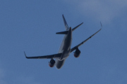 Morten 24 april 2025 - SE-ROR over Høyenhall, jeg har ikke så mange bilder av denne karen her. Jeg så den 5 juni og 8 oktober  2023 og 7 mars 2024