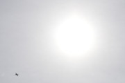 Morten 30 april 2025 - OY-KAU over Høyenhall, det er SAS Scandinavian Airlines som kommer med sin Airbus A320-232 fra 2007 og som heter Hjorvard Viking. Her fikk vi med solen også