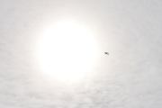 Morten 9 april 2025 - SAS over Høyenhall, klokken er 12.19 og vi får med solen, mens dem flyr mot Gardermoen