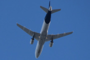 Morten 16 august 2025 - Lufthansa over Høyenhall, klokken er 17.43 og jeg vil nedlegge en protest. Alle biler er påkrevd registreringskilt på visse steder. Men Lufthansa er visst unntaket
