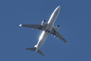 Morten 17 august 2025 - LN-NGK over Høyenhall, klokken er 12.39 og det er Norwegian Air Shuttle AOC som kommer med sin Boeing 737-8JP fra 2013, som er helt hvit. Jeg skrev den 12 august 2025 at jeg ikke har sett den i august før. Som du glinser...