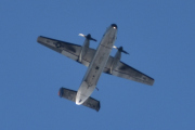 Morten 19 august 2025 - Grumman C-2 Greyhound over Høyenhall, jeg tror det er et amerikansk transportfly som kommer her