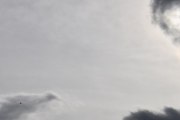 Morten 22 august 2025 - OO-SSU over Høyenhall, klokken er 16.59 og det er Brussels Airlines jeg prøver og få sammen med solen. Vi får vente litt