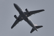 Morten 22 august 2025 - OO-SSU over Høyenhall, her kommer dem med sin Airbus A319-111 fra 2004. Jeg har noen datoer på denne her. Dem er 7 mars og 19 mai 2024 og 20 mai og 15 juli 2025