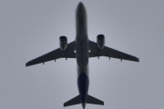 Morten 23 august 2025 - EI-SIN over Høyenhall, klokken er 18.42 og jeg er hjemme igjen. Det er SAS Connect som kommer med sin Airbus A320-251N som er fra juli 2022 og heter Hallgerd Viking. Hvis jeg ser på 31 mai 2022 så har den røde motorer, og ser jeg på 24 juli 2023 så har den ikke det. Jeg må nok inn og korrigere den
