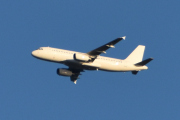 Morten 25 august 2025 - LY-MAF over Høyenhall, klokken er fremdeles 19.35 og jeg tror det er Heston Airlines som kommer med sin Airbus A320-232 fra 2003. Jeg har ikke registrert flyselskapet eller flyet før