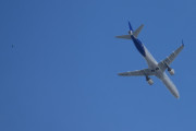 Morten 26 august 2025 - SE-RSY over Høyenhall, nå skrives Yngvar på gammelnorsk Ingvar, eller var det motsatt? Dere ser fuglen?