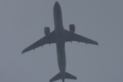 Morten 29 august 2025 - SAS over Høyenhall, klokken er 12.28 og det blir det eneste bilde i dag. Dem skal til Gardermoen med sin Airbus A320 som har røde motorer. Jeg husker 29 august 2021, da hadde vi tre varianter av SAS over her