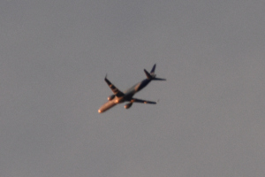 Store fly 2025 desember