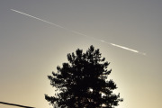 Morten 19 desember 2025 - Jetfly og treet på Høyenhall, klokken er 13.05 og solen er så lav nå at jeg må vente på at den gjemmer seg bak et tre