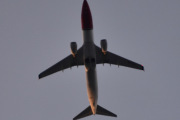 Morten 28 desember 2025 - SE-RPG over Høyenhall, klokken er 14.39 og det er Norwegian Air Sweden AOC som kommer med sin Boeing 737-8JP fra 2016. Jeg har 25 bilder men ingen i desember. God Jul og Godt Nyttår