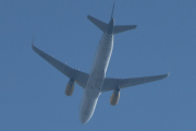 Morten 16 juli 2025 - EC-MFK over Høyenhall, klokken er 10.17 og det er Vueling Airlines som kommer med sin Airbus A320-232 fra 2015 og heter Vueling Topic. Den har jeg sett en gang og det var 16 september 2022. Men hvordan skal vi sitere? Dem er kjent for å koble sammen store europeiske knutepunkter, med sin hovedbase i Barcelona, og har også en sterk tilstedeværelse i Roma, Paris og andre viktige byer...