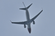 Morten 16 juli 2025 - LN-ENN over Høyenhall, klokken er 15.44 og nå blir jeg veldig usikker. Jeg tror det er Norwegian Air Shuttle AOC som kommer med sin Boeing 737-8JP fra 2016. Jeg så den 8 og 11 juli 2025, vi lar det ligge med det