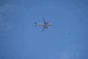 Morten 24 juli 2025 - EI-SIB over Høyenhall, klokken er 15.56 og jeg tror det er SAS Connect som kommer med sin Airbus A320-251N fra desember 2017 og heter Ellisiv Viking. Dem har følge av tre fugler