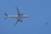 Morten 24 juli 2025 - EI-SIB over Høyenhall, jeg har sett den fire ganger, det var 30 og 31 august 2022 og 14 og 20 september 2022. Dem har fremdeles følge av låvesvalen